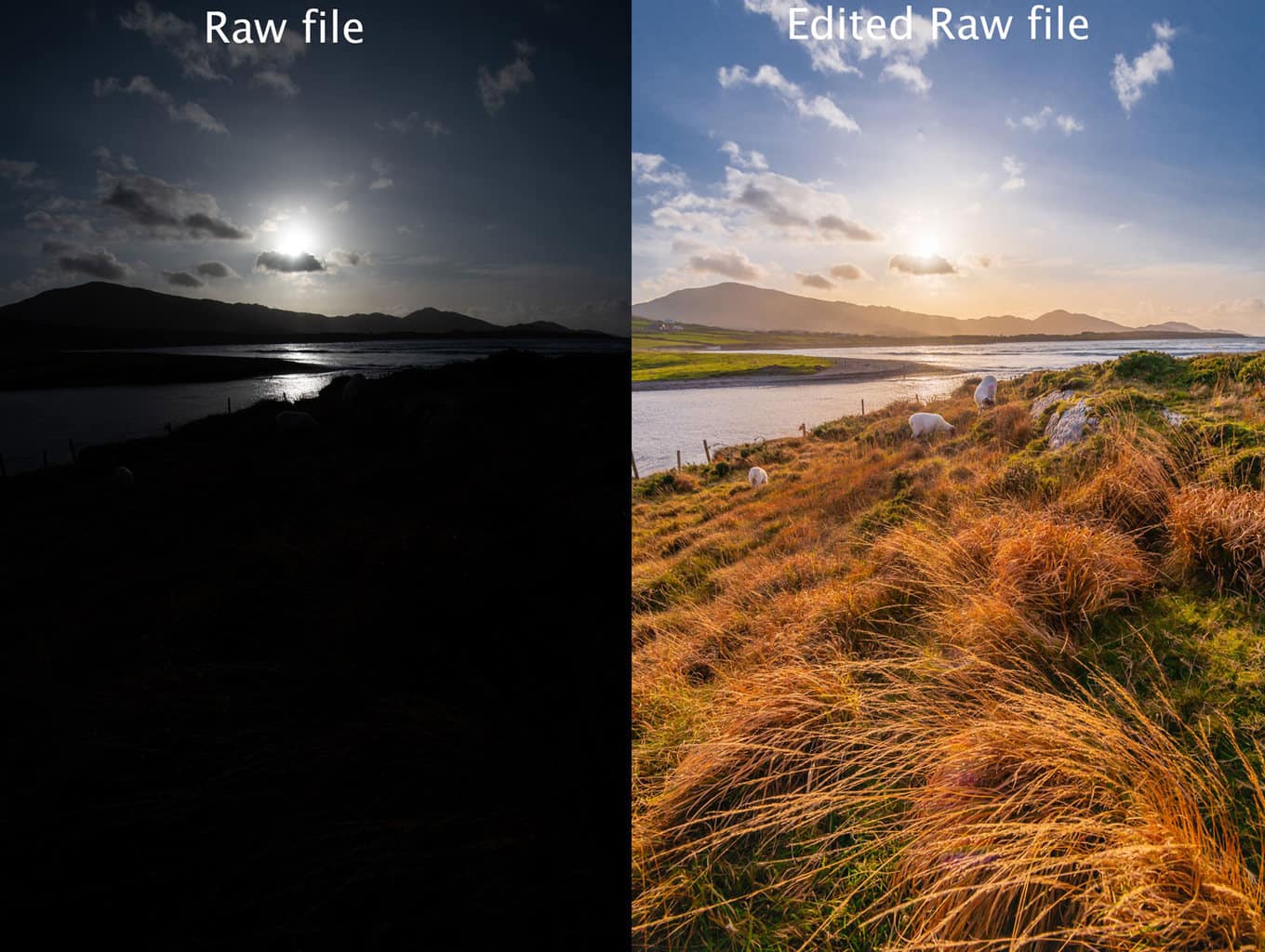 Jpeg vs Raw explained side by side unedited and edited